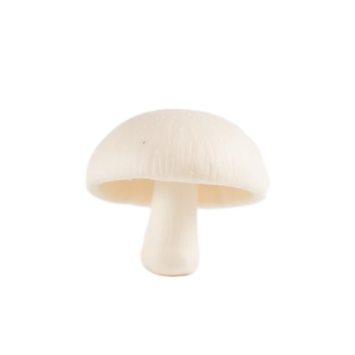 White Button